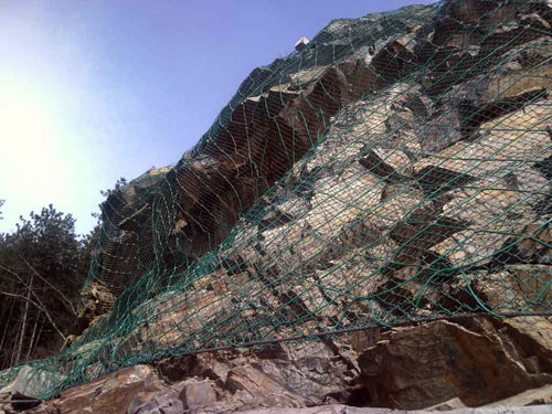 RXI-100ͱ(dng)oW(wng)